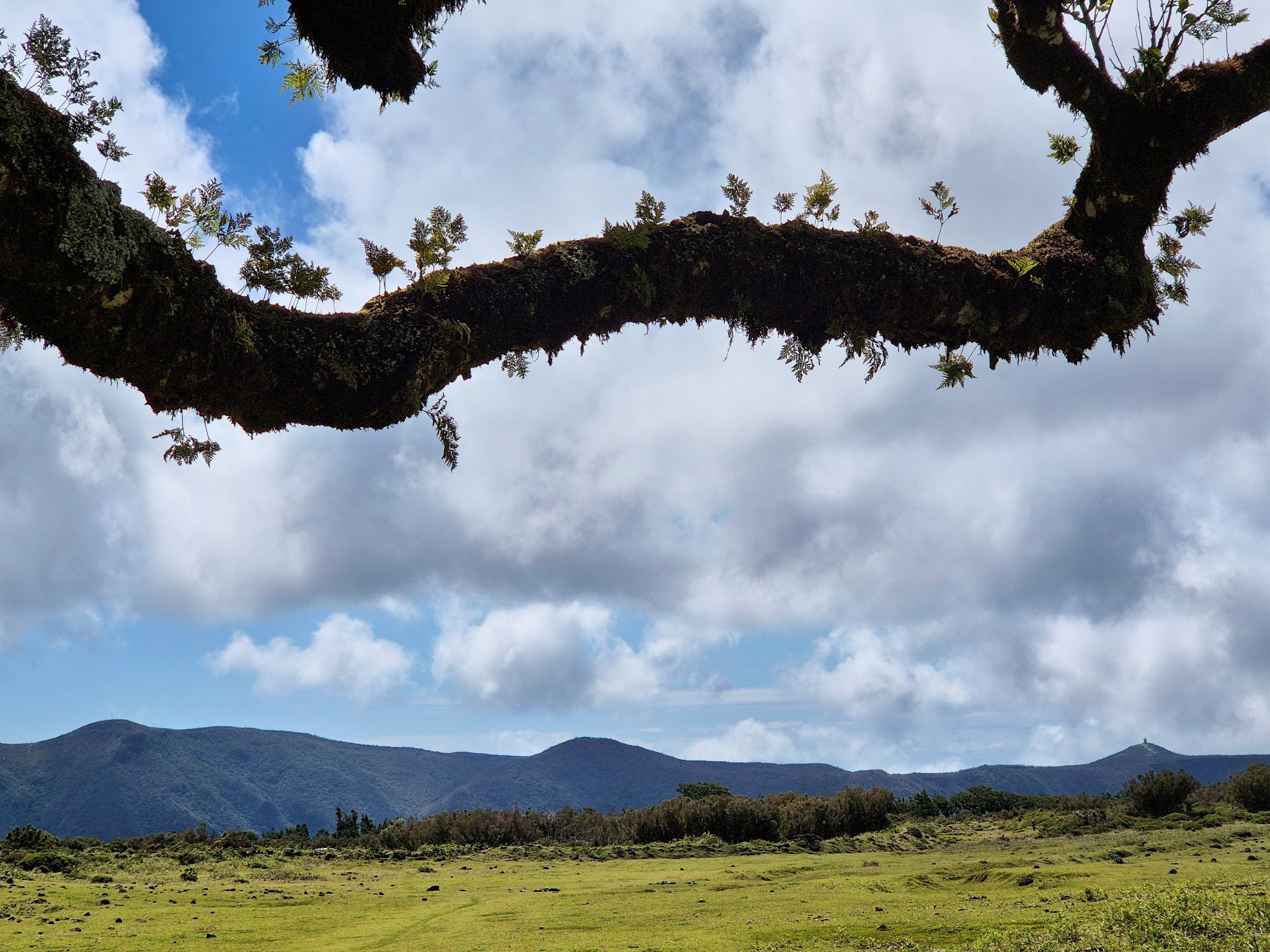 Posto Florestal do Fanal